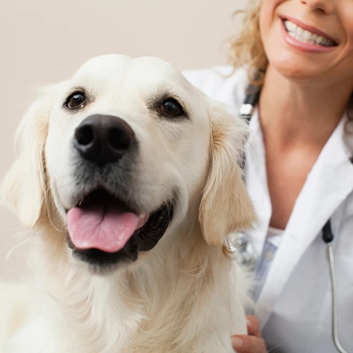 Spay & Neuter